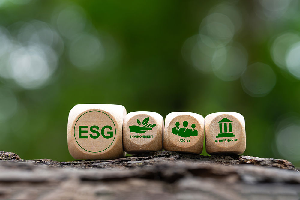Finanzas Éticas: Un Pilar Fundamental para Marcas Sostenibles y Reflexiones del I Encuentro de Finanzas y Seguros Éticos