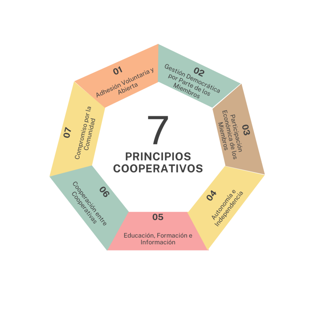 Los 7 principios cooperativos:
1. Adhesión Voluntaria y Abierta
2. Gestión Democrática por Parte de los Miembros
3. Participación Económica de los Miembros
4. Autonomía e Independencia
5. Educación, Formación e Información
6. Cooperación entre Cooperativas
7. Compromiso por la Comunidad